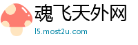魂飞天外网